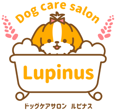 Dog care salon Lupinus